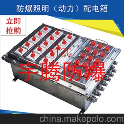 專供合肥地區(qū)經(jīng)濟(jì)型防爆配電箱 安全與實(shí)惠并重的電力解決方案
